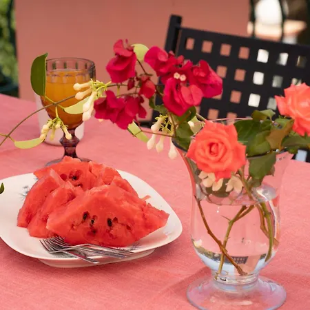 Ariadni Sea View 아파트